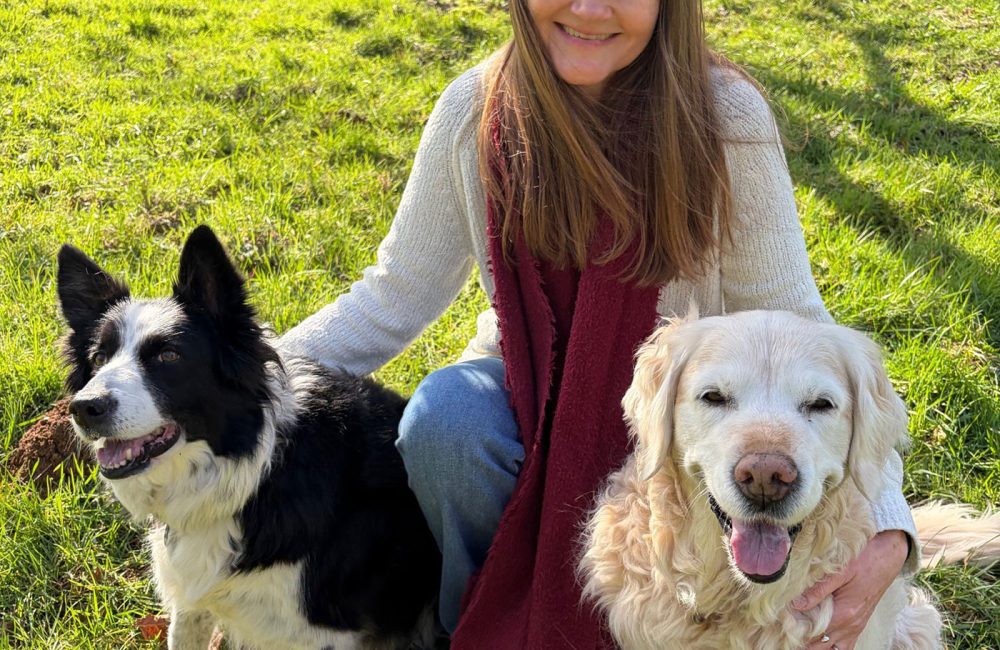 Building Resilience After Emotional Setbacks