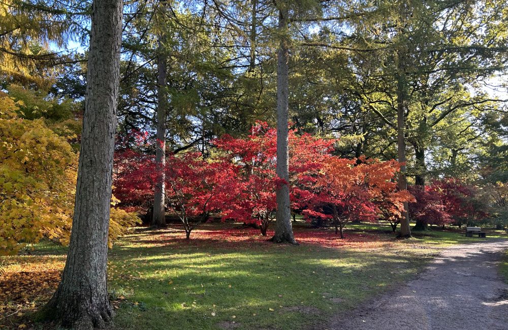 Understanding the Early Signs of Anxiety