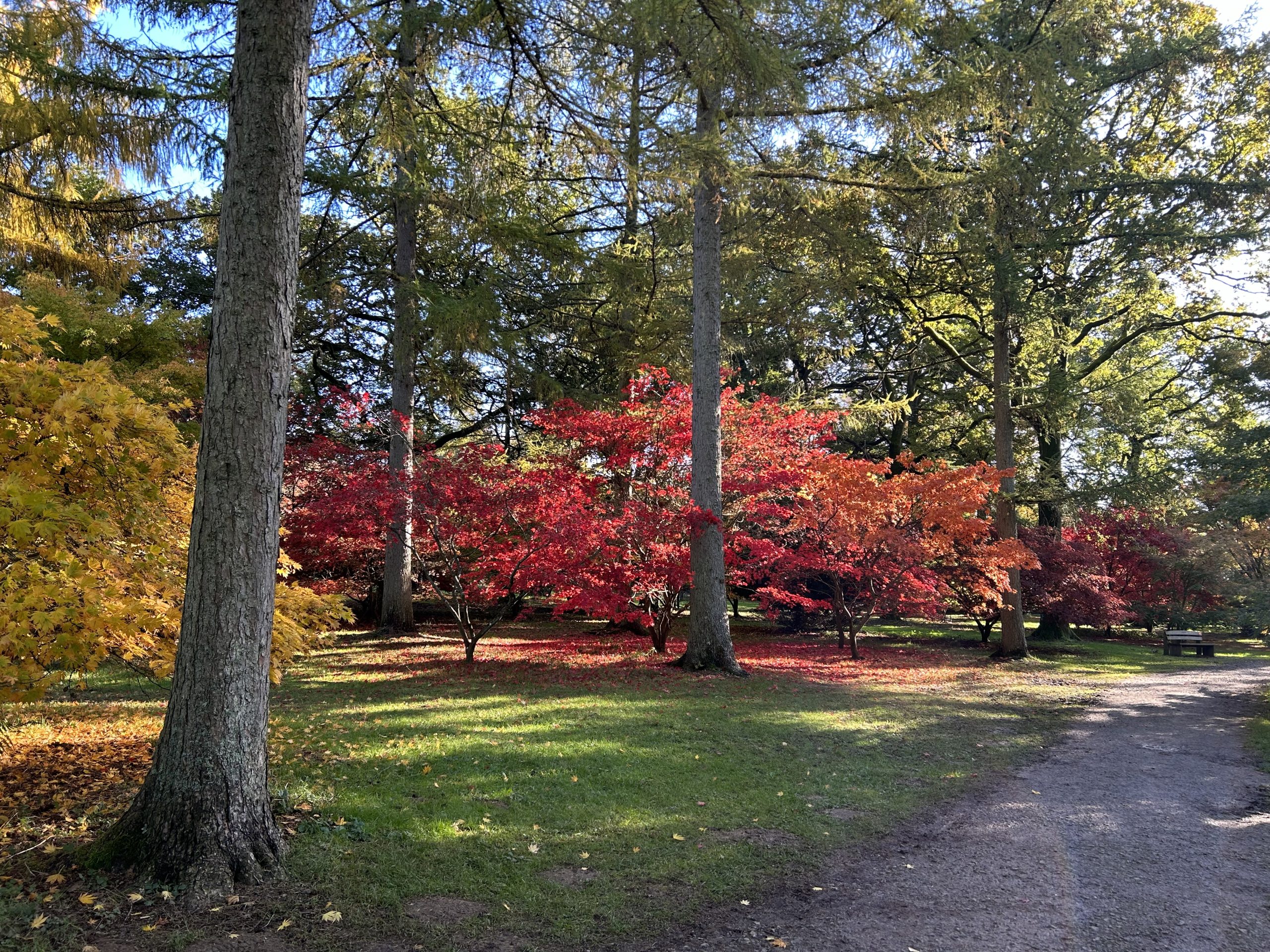 Understanding the Early Signs of Anxiety