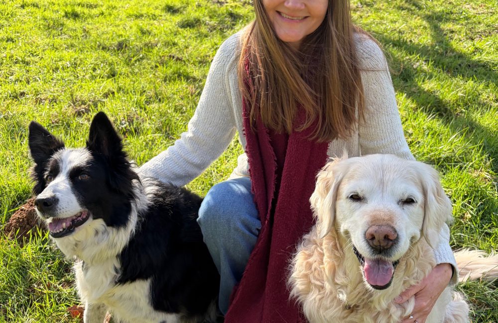 Building Resilience After Emotional Setbacks