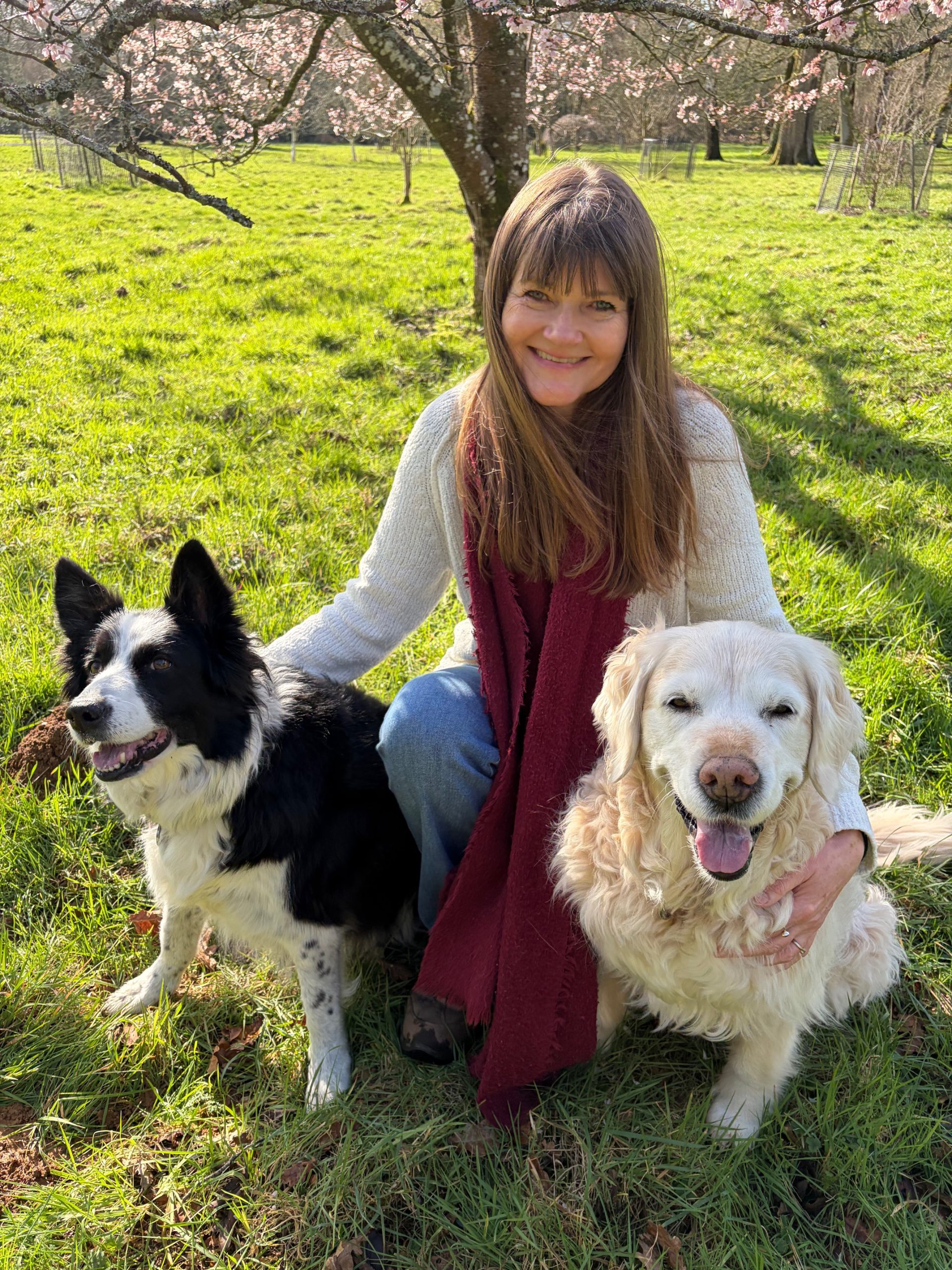 Building Resilience After Emotional Setbacks